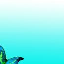 Фотография Степановой Татьяны