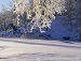 Альбіна Стягун фотография #25 (источник - https://vk.com/id151842057)