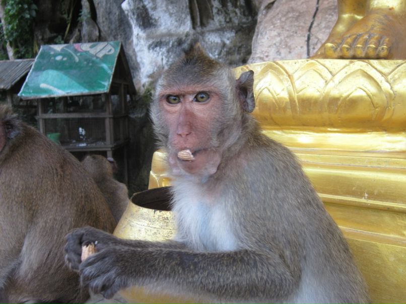 Дмитрий Петрусенко фотография #8