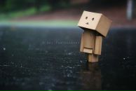 Фотография Никитина Алексея