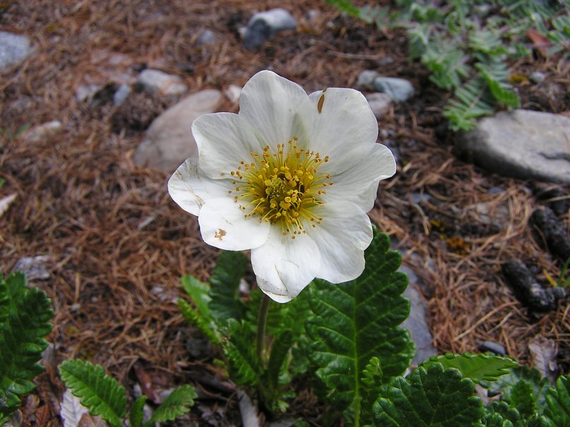 Серега Плотников фотография #18