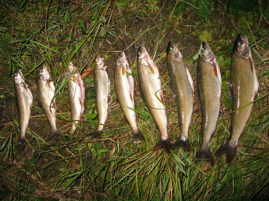 Богдан Балыков фотография #43