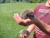 Оля Ілючок фотография #13 (источник - https://vk.com/id50370198)