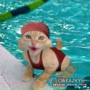 Фотография Черкасовой Татьяны