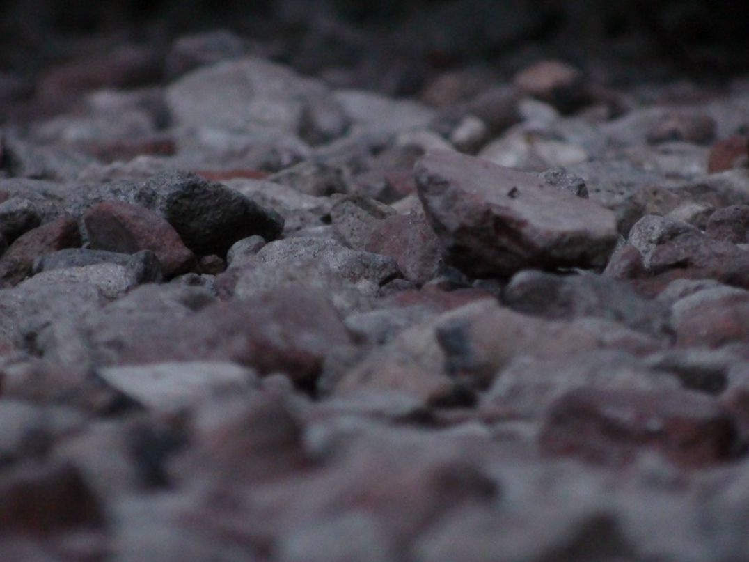 Сергей Гуревич фотография #43