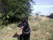 Фотография Смыка Стаса