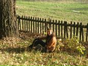 Фотография Уступкиной Екатерины