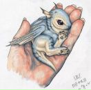 Фотография Геры Сереги