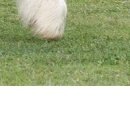 Каріно4ка♥ Шрамко фотография #39 (источник - https://vk.com/id147791993)