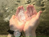 Ірина Петрик фотография #14 (источник - https://vk.com/id13555733)