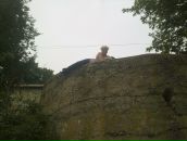 Nst Иванова фотография #1