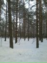 Дмитрий Шаров фотография #14 (источник - https://vk.com/id3186760)