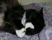 Фотография Бердичевской Ирины