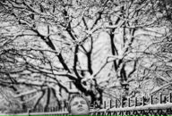 Фотография Иванова Коли