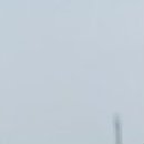 Ленусічка Пусічка фотография #20 (источник - https://vk.com/id85132007)