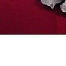 Іра Сакундяк фотография #22 (источник - https://vk.com/id35307343)