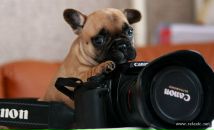 Юлія Сімонова фотография #36 (источник - https://vk.com/id72768767)