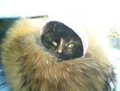 Фотография Мироновой Ольги