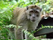 Вадік Ковальський фотография #2 (источник - https://vk.com/id89878773)