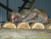 Фотография Бордуковой Розалины