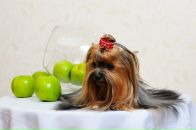 Фотография Помосовой Кати