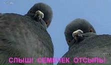 Ліля Стась фотография #22 (источник - https://vk.com/id65592732)