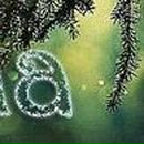 Людмила Ліщук фотография #27 (источник - https://vk.com/id152140225)