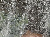 Фотография Борняковой Натальи