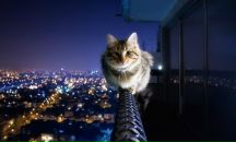 Фотография Любимовой Ирины