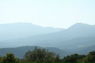 Дарья Попова фотография #23 (источник - https://vk.com/id1113792)