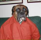 Фотография Житомирского Владимира