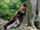 Вітя Белла фотография #7 (источник - https://vk.com/id161860914)