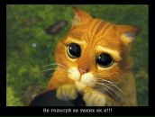 Фотография Ананьева Игоря