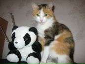 Фотография Леметти Ольги