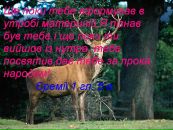 Андрій Ленько фотография #2 (источник - https://vk.com/id89376220)