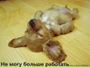 Фотография Простяковой Светы