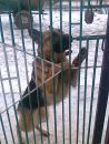 Танічка Пахолок фотография #39 (источник - https://vk.com/id222233834)