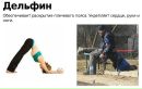 Богдан Янічко фотография #43 (источник - https://vk.com/id26134723)