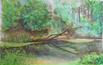 Наташа Ніколенко фотография #43 (источник - https://vk.com/id21361765)