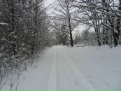 Вова Таргоній фотография #42 (источник - https://vk.com/id62501575)