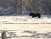 Марія Мосійчук фотография #41 (источник - https://vk.com/id86225869)