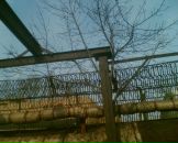 Фотография Пирожинского Евгения