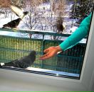 Фотография Квасова Дмитрия