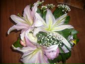 Фотография Легков Станислав