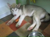 Криста Кул фотография #49 (источник - https://vk.com/id1845295)