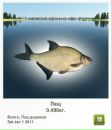 Вася Цебрій фотография #6 (источник - https://vk.com/id77546960)