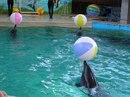 Іра Слипцова фотография #16 (источник - https://vk.com/id147091650)