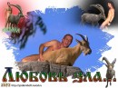 Цап Галімий фотография #4 (источник - https://vk.com/id75102232)