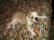 Фотография Абрамовой Екатерины