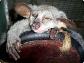 Фотография Зобовой Александры